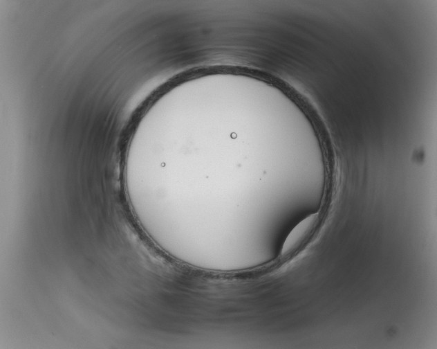 X0000113870925200910151257