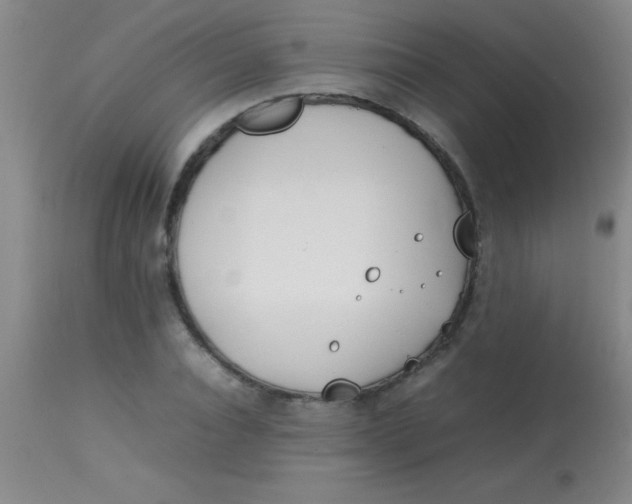 X0000113870928200910151257