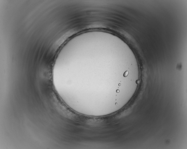 X0000113870929200910151257