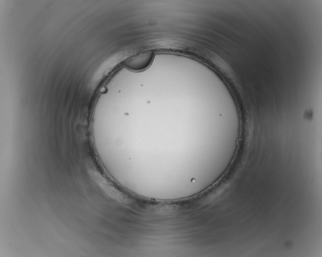 X0000113870930200910151257