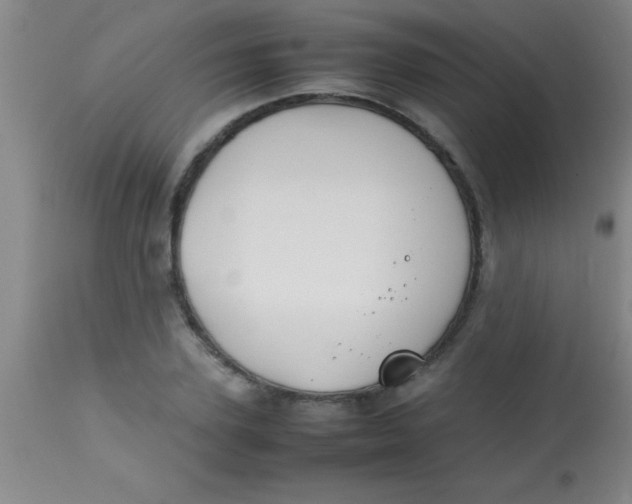 X0000113870931200910151257