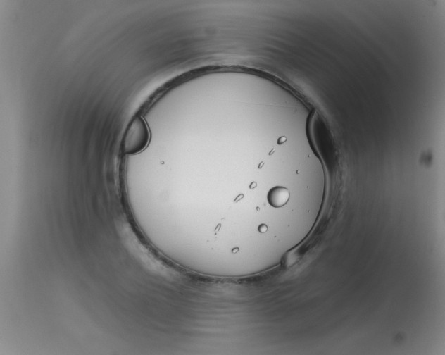 X0000113870932200910151257