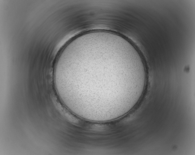 X0000113870933200910151257