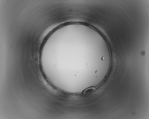 X0000113870935200910151257