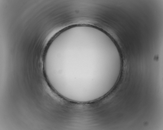 X0000113870936200910151257