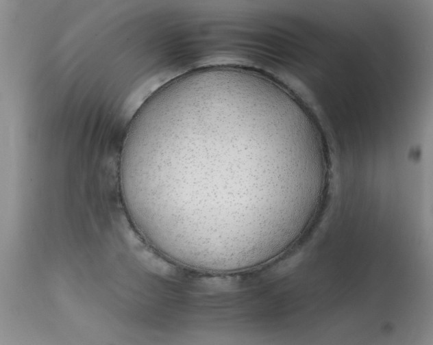 X0000113870937200910151257