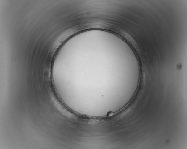 X0000113870938200910151257