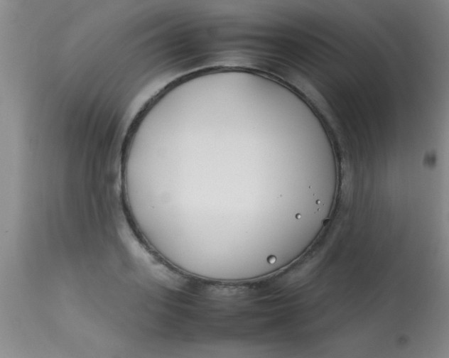 X0000113870939200910151257