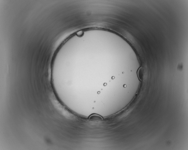 X0000113870940200910151257