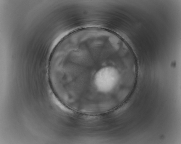 X0000113870941200910151257