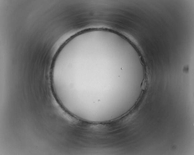 X0000113870943200910151257