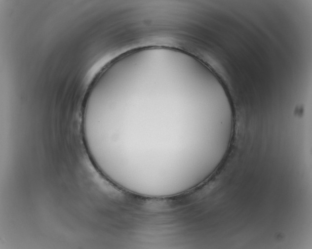 X0000113870944200910151257