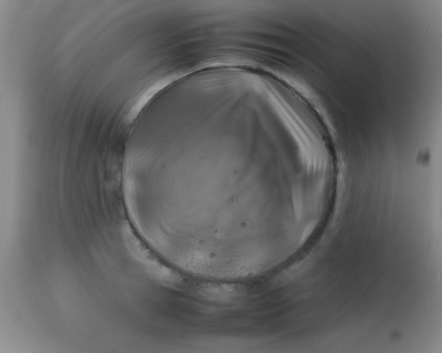 X0000113870945200910151257