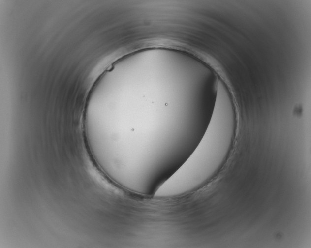 X0000113870946200910151257