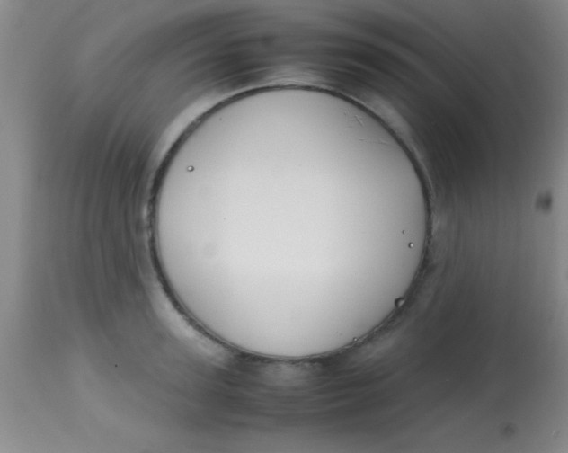 X0000113870947200910151257