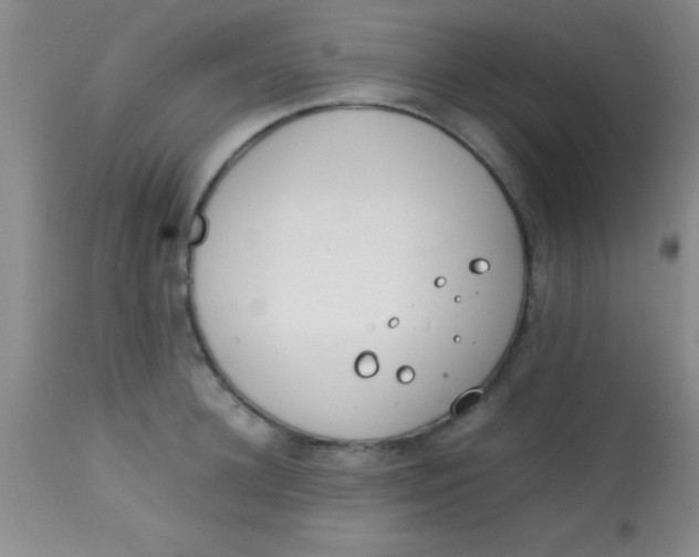 X0000113870948200910151257