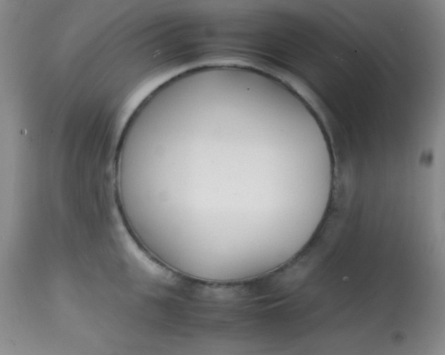 X0000113870951200910151257