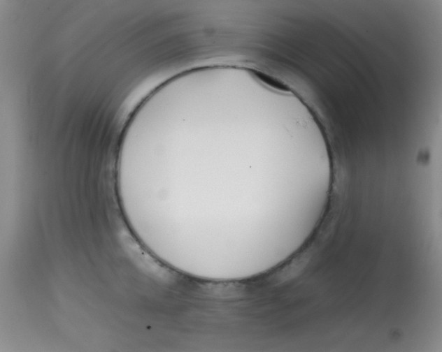 X0000113870952200910151257