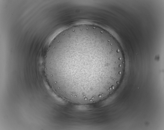 X0000113870953200910151257