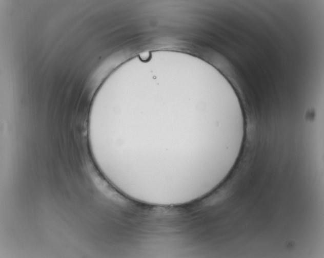 X0000113870954200910151257