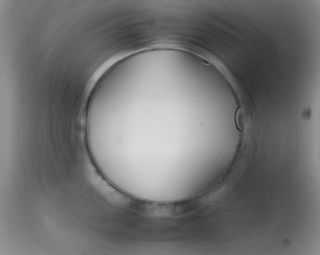 X0000113870955200910151257