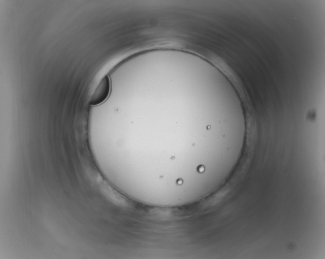 X0000113870956200910151257