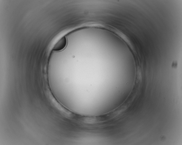 X0000113870959200910151257