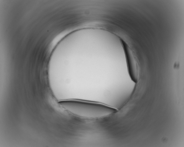 X0000113870960200910151257