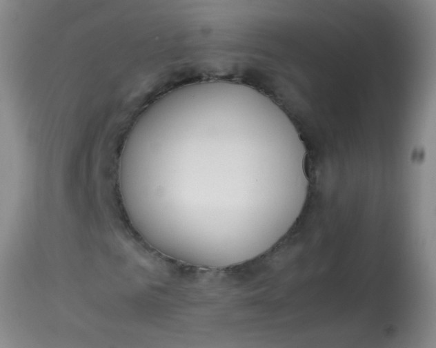 X0000113870961200910151256