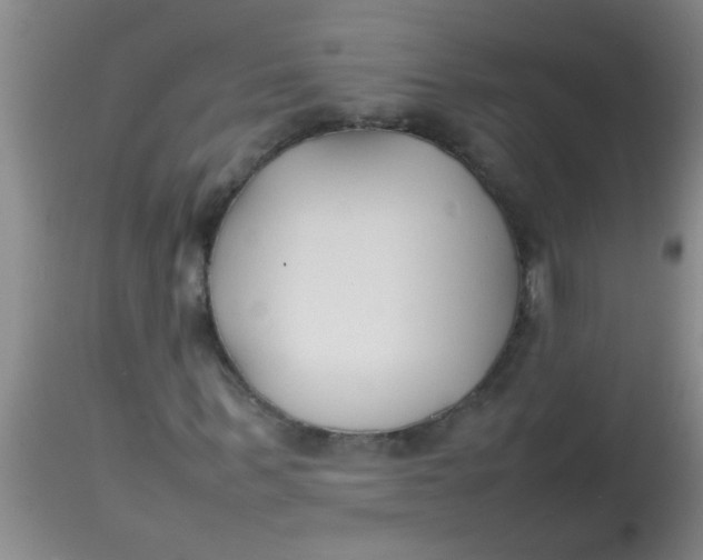 X0000113870963200910151256