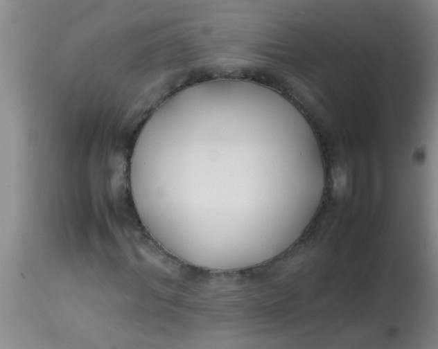 X0000113870964200910151256