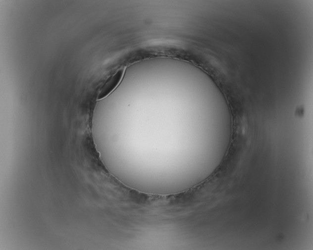 X0000113870965200910151256