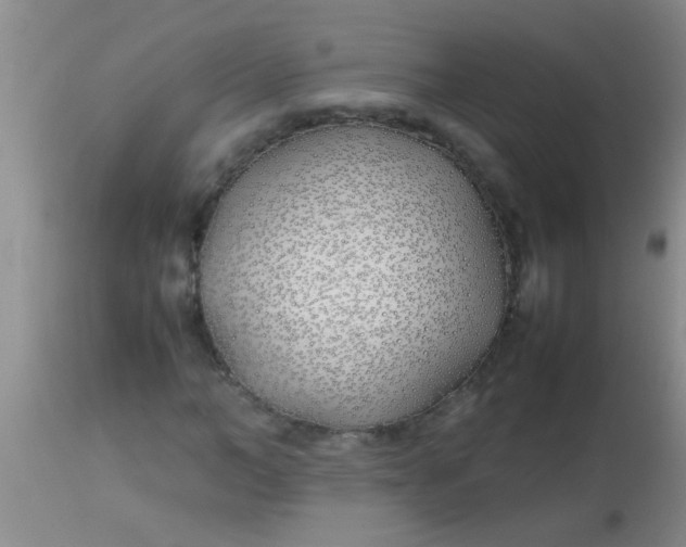 X0000113870966200910151256