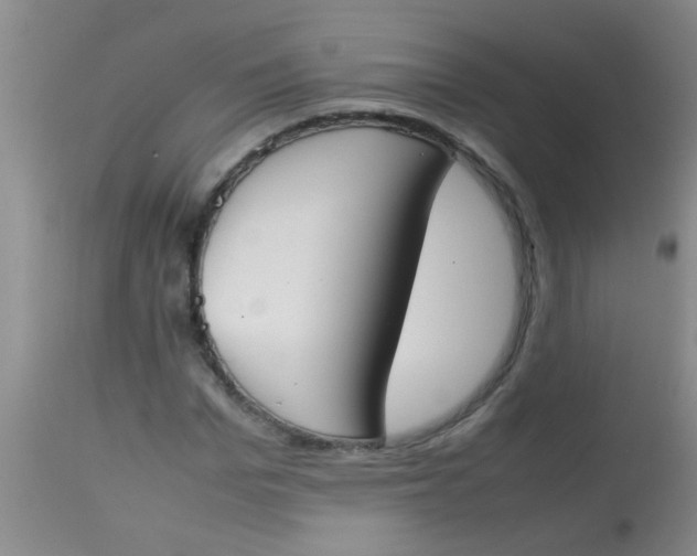 X0000113870969200910151256