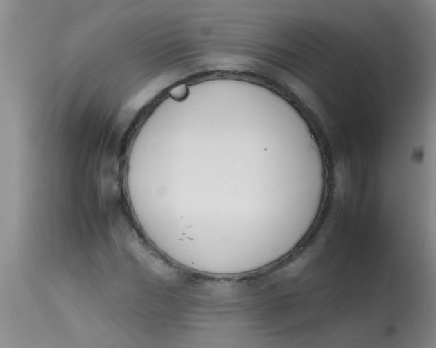 X0000113870970200910151256