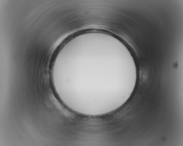 X0000113870972200910151256