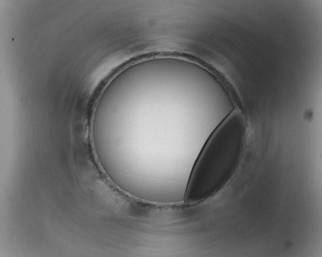 X0000113870973200910151256