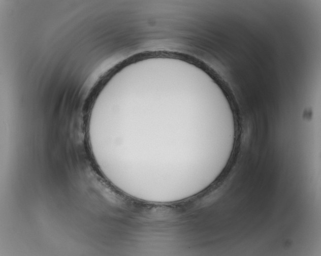 X0000113870974200910151256