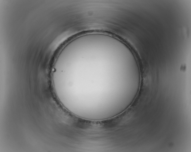 X0000113870975200910151256