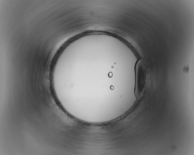 X0000113870976200910151256