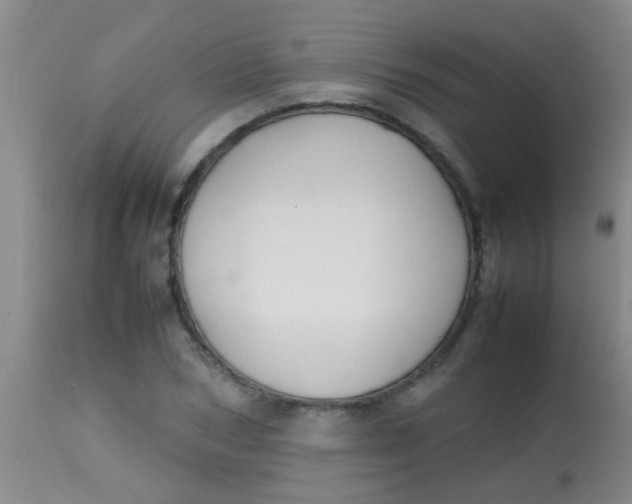 X0000113870978200910151256