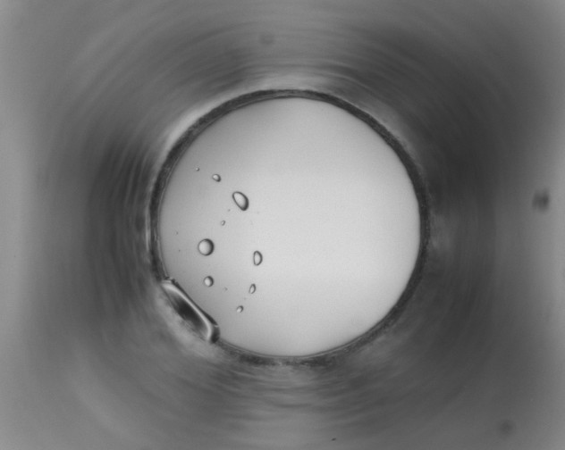 X0000113870980200910151256