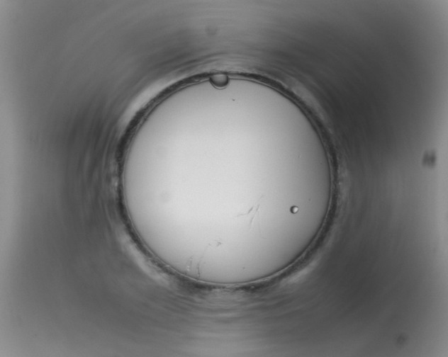 X0000113870981200910151256