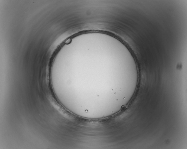 X0000113870982200910151256