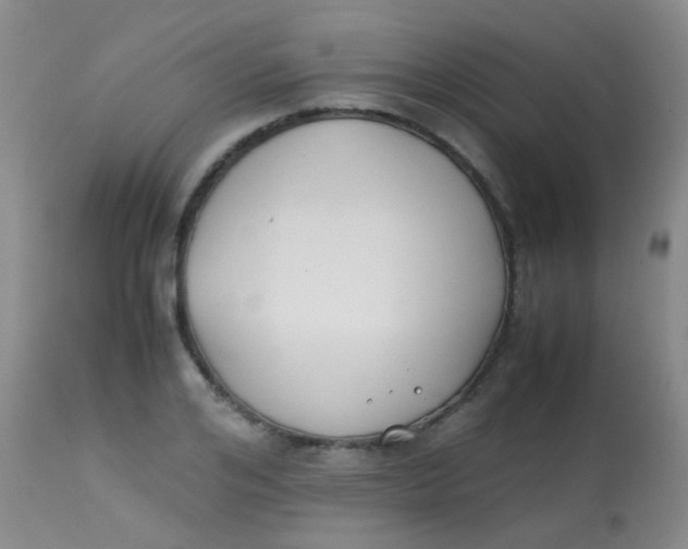 X0000113870984200910151256