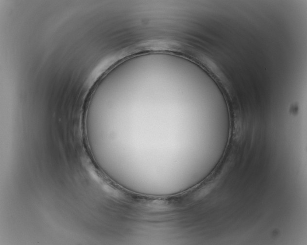 X0000113870986200910151256