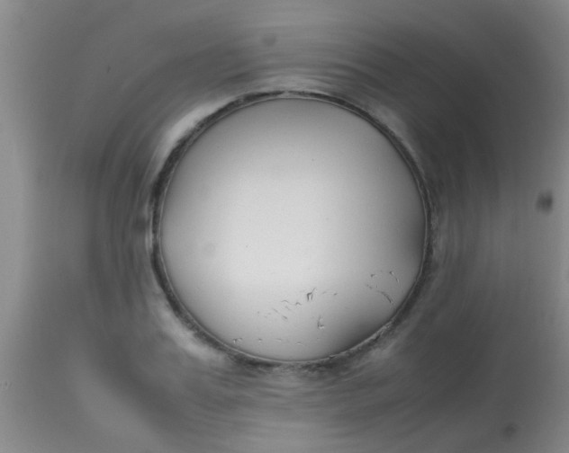 X0000113870987200910151256