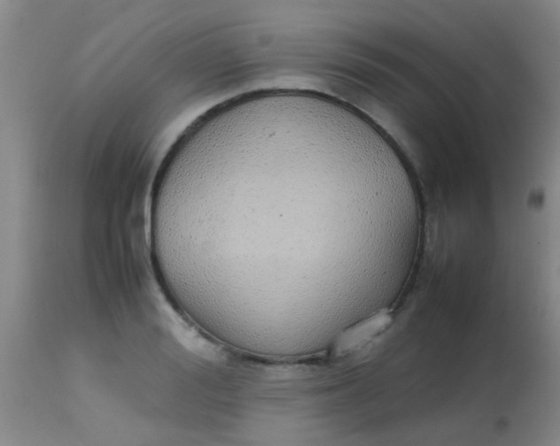 X0000113870988200910151256