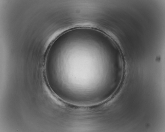 X0000113870989200910151256