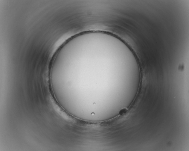 X0000113870990200910151256